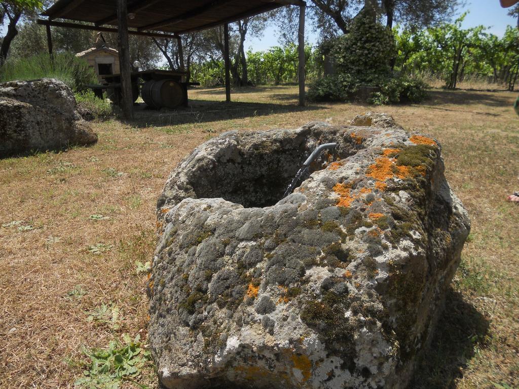 Agriturismo Tenuta Roccaccia Πιτιλιάνο Εξωτερικό φωτογραφία