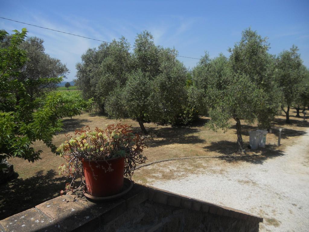 Agriturismo Tenuta Roccaccia Πιτιλιάνο Εξωτερικό φωτογραφία